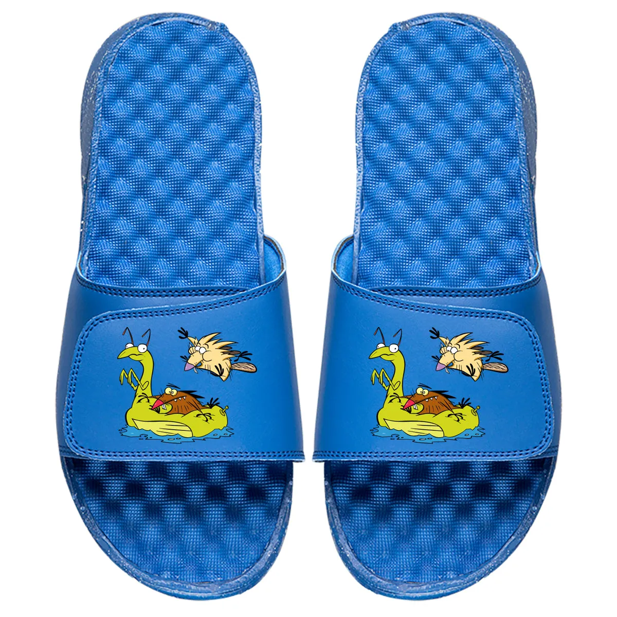 Angry Beavers Pool Party Slides